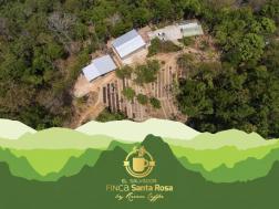 Finca Santa Rosa Honey Pacamara