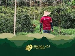 Inmaculada Natural Gesha