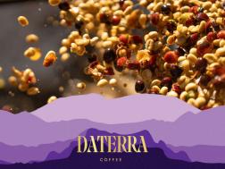 Daterra Coffee Natural Anaerobic Laurina
