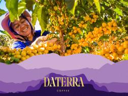 Daterra Coffee Natural Anaerobic Guarani