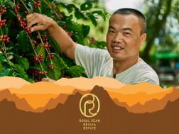 Royal Bean Geisha Estate Washed Geisha