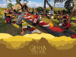 Gesha Village Surma Natural G31 Gesha 1931