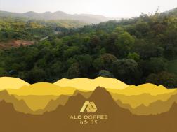 Alo Coffee Hybrid Washed 74158