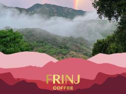 Frinj Coffee California Washed Geisha