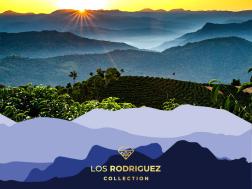 Los Rodriguez Natural Geisha/Java Peaberry