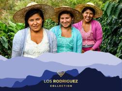 Los Rodriguez Natural Geisha