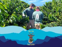 Hawaiian Goat Coffee Anaerobic Typica
