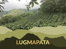 Lugmapata Washed Sidra