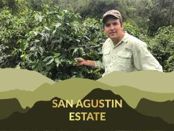 San Augustin Estate Double Fermentation Heirloom